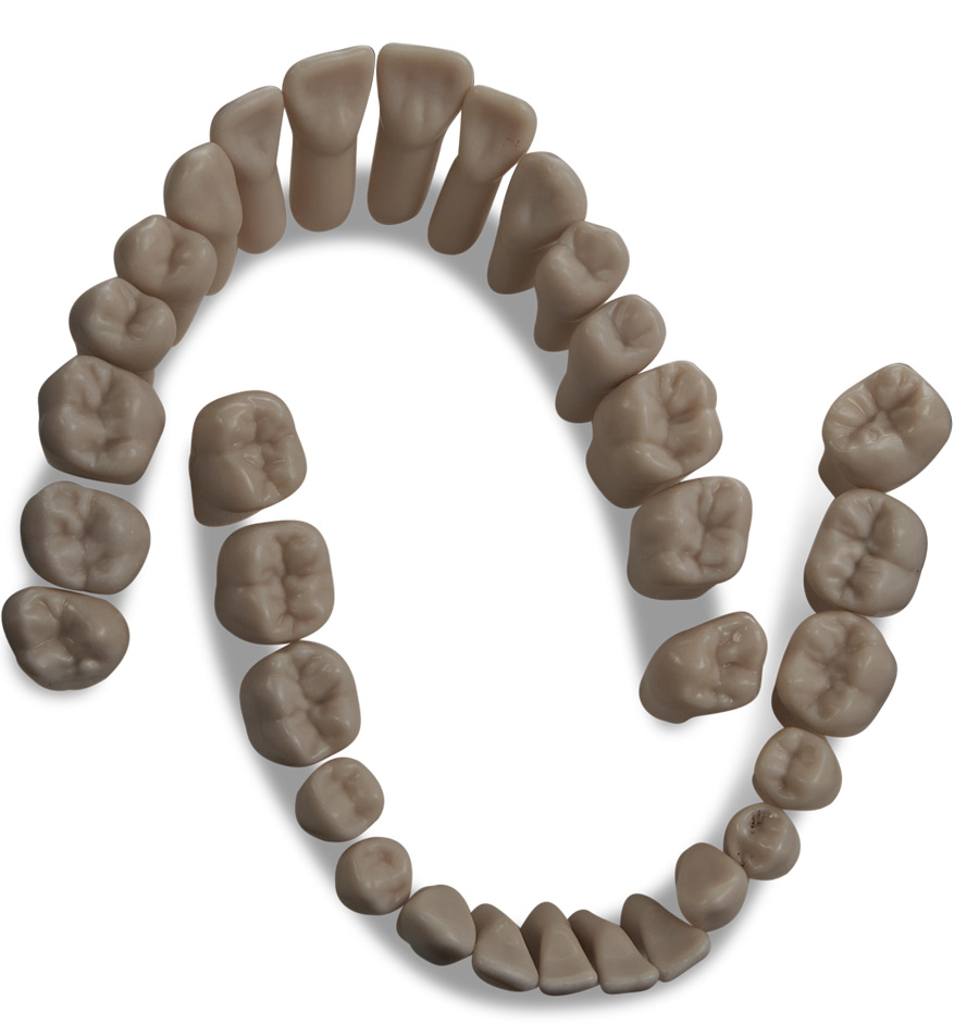 Modele protetyczne KaVo