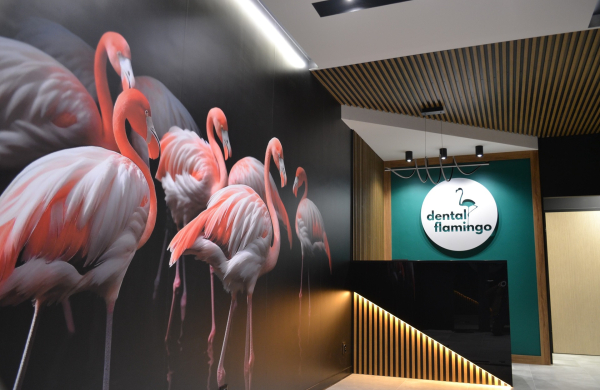 Dental Flamingo - nowe Centrum Stomatologiczne w Wyszkowie