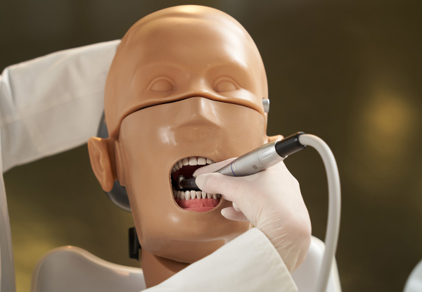 Symulatory Pacjenta KaVo